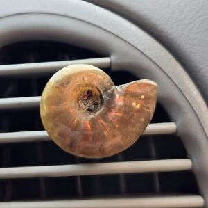 Opalized Ammonite Car Air Vent Clip